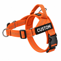Orange Harness