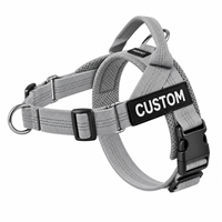 Grey Harness