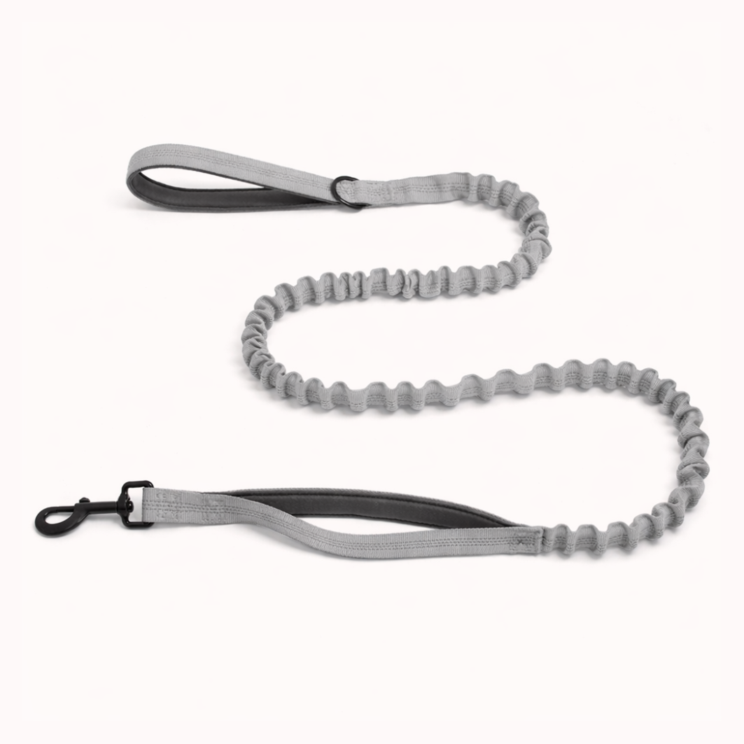 🎁 FREE ParoPet Bungee Lead