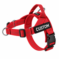 Red Harness
