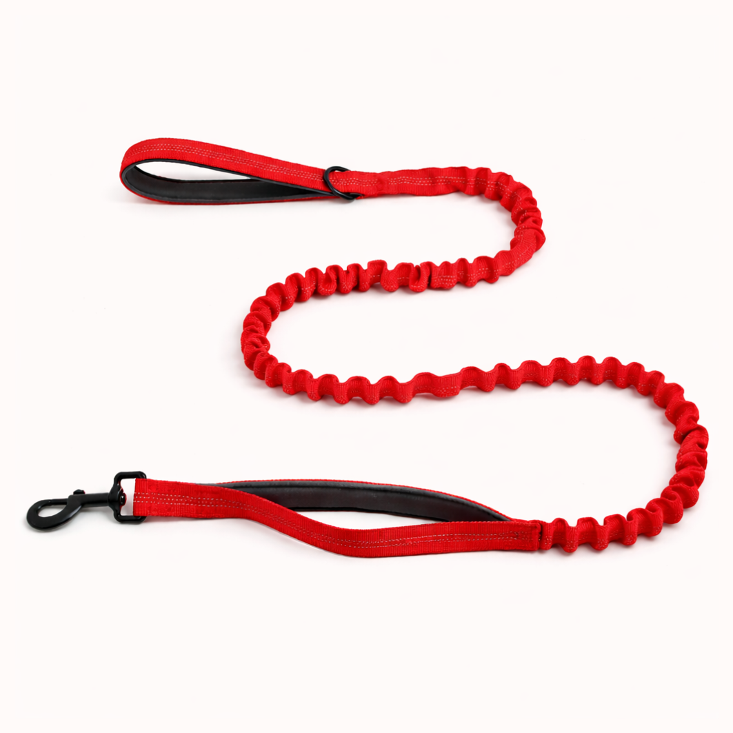 Matching Bungee Lead