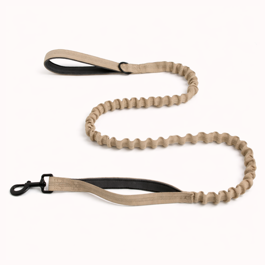 ParoPet Bungee Dog Lead