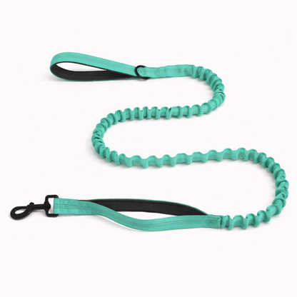 Matching Bungee Lead