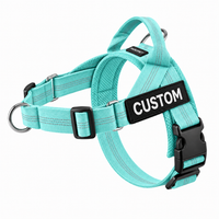 Turquoise Green Harness
