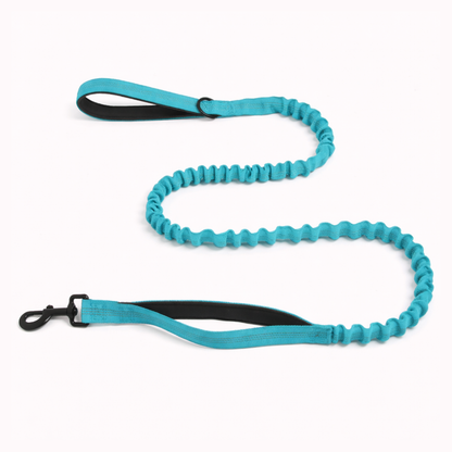 Matching Bungee Lead