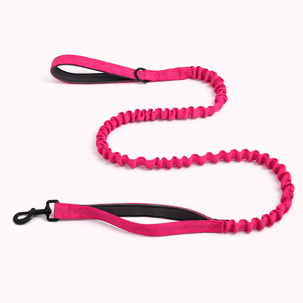 🎁 FREE ParoPet Bungee Lead