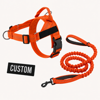 Orange Complete Walk Set