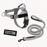 Grey Complete Walk Set