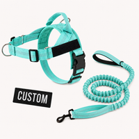 Turquoise Green Complete Walk Set