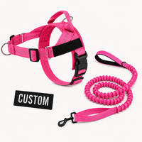 Pink Complete Walk Set