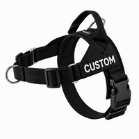 Black Harness