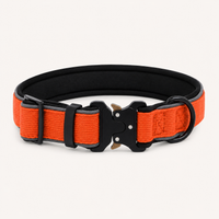 Orange Heavy-Duty Collar
