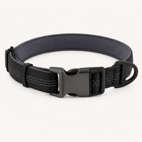 Black Essentials Collar