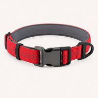 Red Essentials Collar