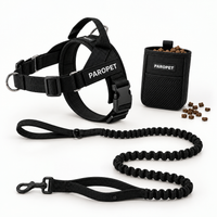 Black Harness