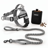Grey Harness
