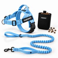 Sky Blue Harness