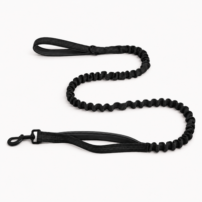 Matching Bungee Lead