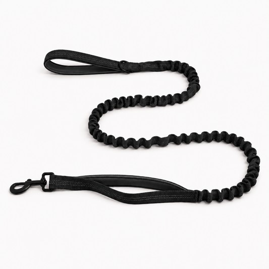 Matching Bungee Lead