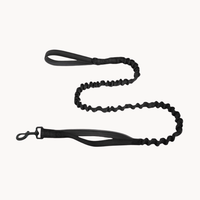 Black Bungee Lead