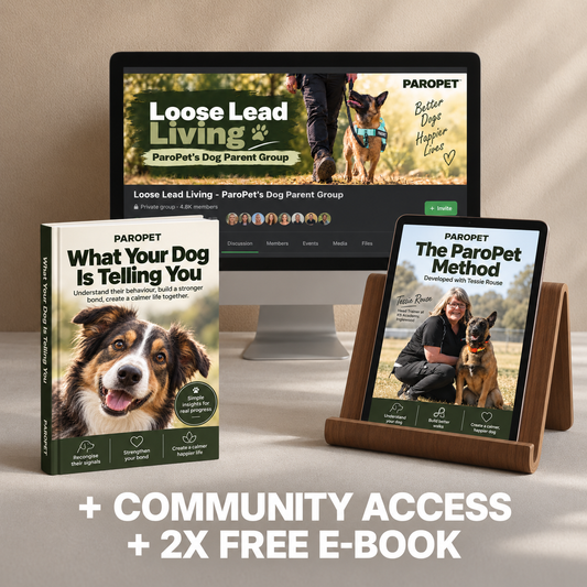 Community Access + 2 Free E-Books